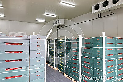 Cold Storage Produce Stock Photo