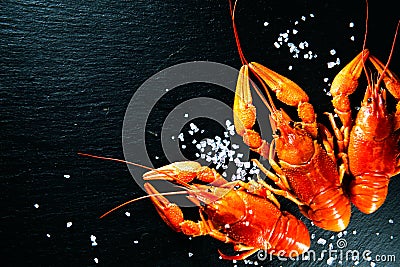 Crawfish. Red boiled crayfish with herbs Stock Photo