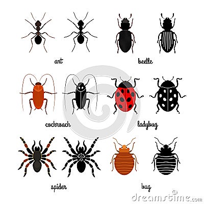 Crawling insects vector set - ant, spider, beetle, ladybug Vector Illustration