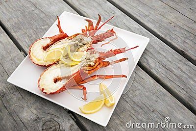 Cray fish dish Stock Photo