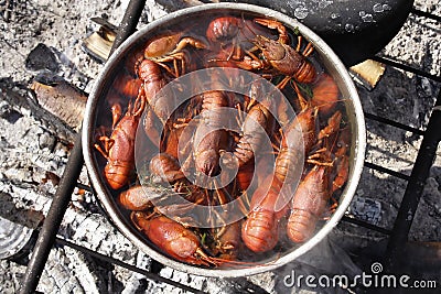 Crayfish cooking Stock Photo