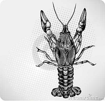 Crayfish hand drawing. Vector illustration. Vector Illustration