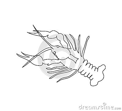 Crayfish, lobster, astacidea continuous line drawing. One line art of arthropods, marine animals. Cartoon Illustration