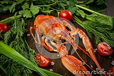 Crayfish. Red boiled crawfishes on table in rustic style, closeup. Lobster closeup. Stock Photo