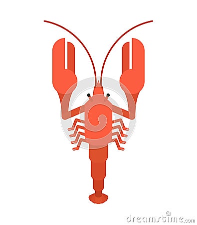 Crayfish red isolated. Marine crustacean Delicacy. Vector illustration Vector Illustration