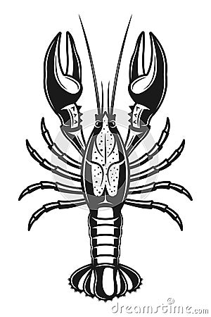 Crayfish vector detailed monochrome illustration Vector Illustration