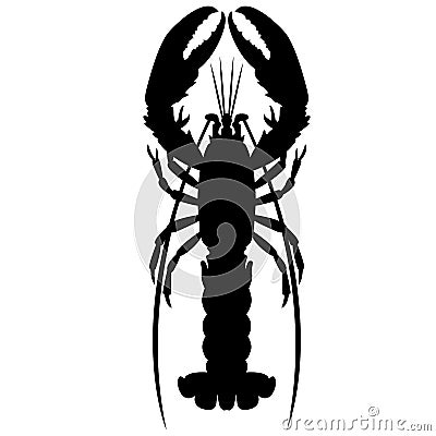 Crayfish vector illustration black silhouette realistic Vector Illustration