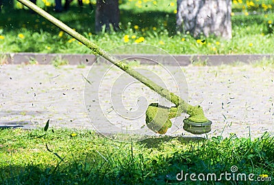 Crazy grass cutting in the park Stock Photo