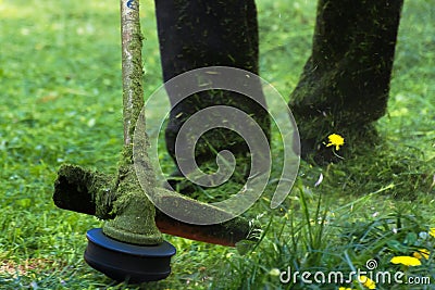 Crazy grass cutting in the park Stock Photo