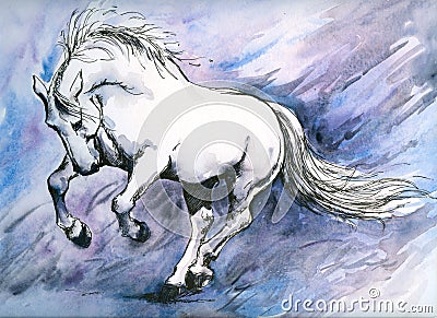 Crazy horse Stock Photo