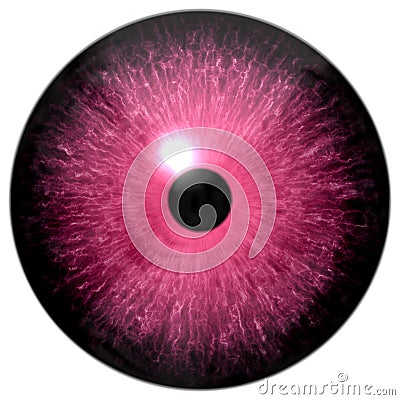 Crazy pink 3d eyeball isolated on white background, black little pupil Stock Photo