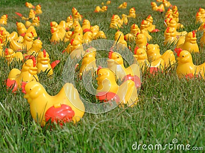 Crazy Plastic Chicks 2 Stock Photo