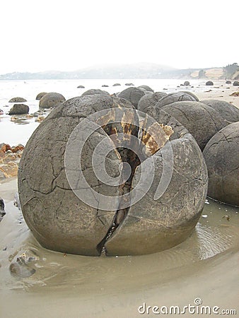 Crazy rock ball / alien egg Stock Photo