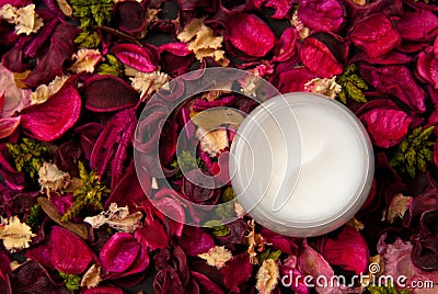 Cream Stock Photo