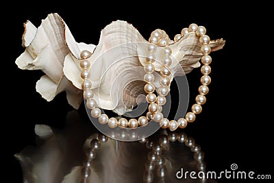 Cream colored pearls in a sea shell Stock Photo