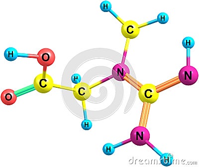 Creatine molecular structure isolated on white Cartoon Illustration