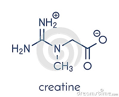 Creatine molecule. Often used in food supplements. Skeletal formula. Vector Illustration