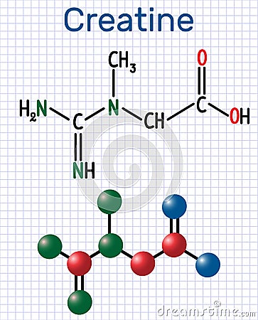 Creatine molecule. Structural chemical formula and molecule mode Vector Illustration