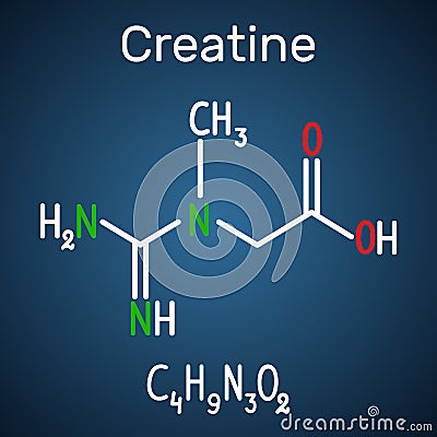 Creatine molecule. Structural chemical formula and molecule mode Vector Illustration