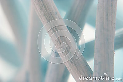 Creating artistic colored background from macro shot of dried woven vegetal fiber microscope photography Stock Photo