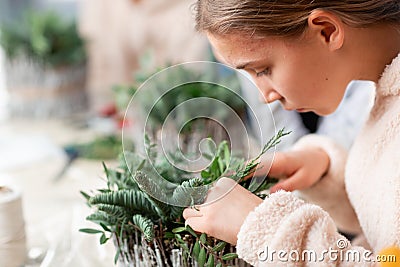 Creating Christmas floral arrangement with carnations, chrysanthemum santini flowers and fir Stock Photo