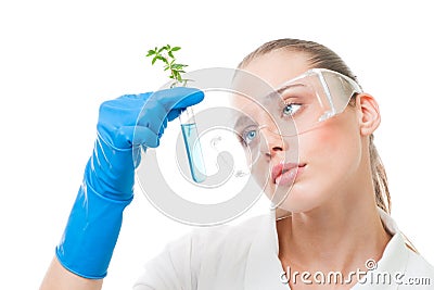 Creation of artificial live Stock Photo