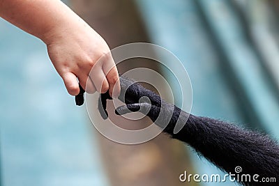 Creation of evolution Stock Photo