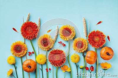 Creative autumn composition with orange and yellow gerbera flowers, decorative pumpkins, wheat ears. Thanksgiving day concept. Stock Photo