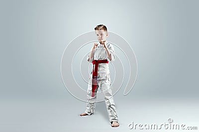 Creative background a child in a white kimono in a fighting stance, on a light background The concept of martial arts Stock Photo