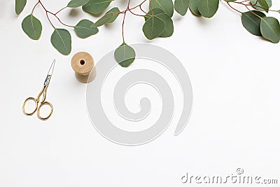Creative composition made of green Silver dollar Eucalyptus cinerea leaves and branches, golden scissors and wooden Stock Photo