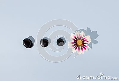 Creative composition made of spa pebbles and flower. Minimal zen concept Stock Photo