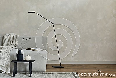 Creative composition of modern spacious living room with grey sofa, lamp and small personal accessories. Creative wall and parquet Stock Photo