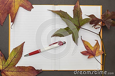 Creative Composition Useful for Messages and Thank You Cards Stock Photo