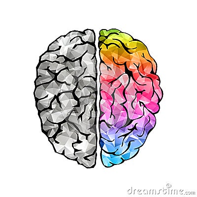 Creative concept of the human brain Vector Illustration
