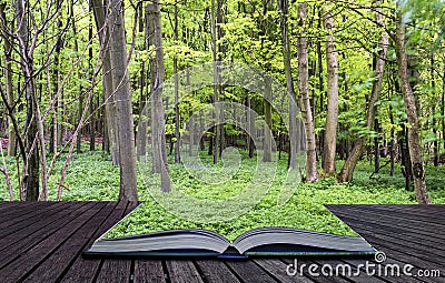 Creative concept pages of book Vibrant lush green Spring forest Stock Photo