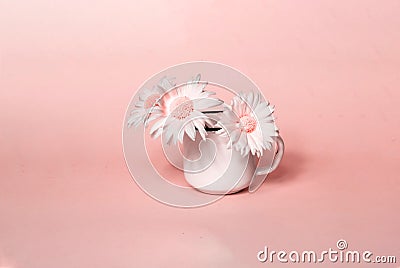 Creative coral background with flowers in white mug. Stock Photo