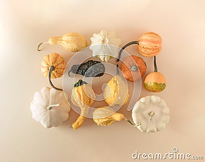 Creative fall layout made of pumpkins. Autumn, Halloween or Thanksgiving season concept. Flat lay Stock Photo