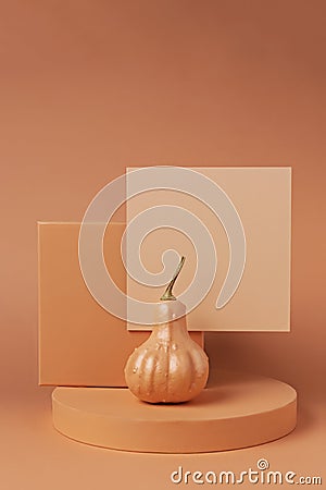 Creative Fall layout made of pumpkins Stock Photo