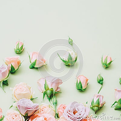 Creative floral composition natural decor rose Stock Photo