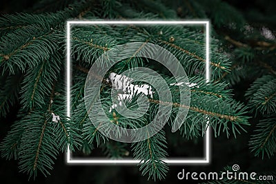 Creative fluorescent layout made around Christmas tree branches covered by first snow, neon light frame, minimal concept of new Stock Photo