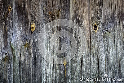 creative grunge wood background from old planed gray knotty planks of the outer wall of an ancient barn Stock Photo