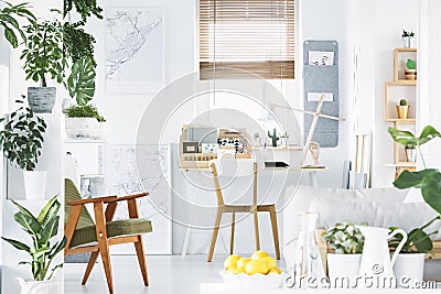 Creative home office interior with a retro armchair, desk, window, plants and bowl of yellow fruit Stock Photo