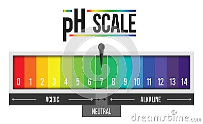 Creative illustration of pH scale value isolated on background. Chemical art design infographic. Abstract concept graphic litmus Cartoon Illustration