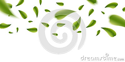Creative illustration of realistic blurred fresh vividly flying green leaves isolated on background. Art design green tea. Cartoon Illustration