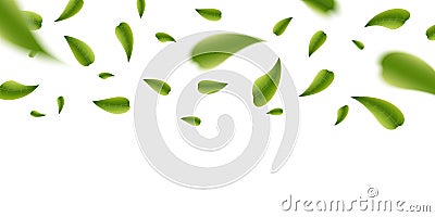 Creative illustration of realistic blurred fresh vividly flying green leaves isolated on transparent background. Art design Cartoon Illustration