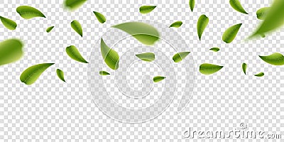 Creative illustration of realistic blurred fresh vividly flying green leaves isolated on transparent background. Art design Cartoon Illustration