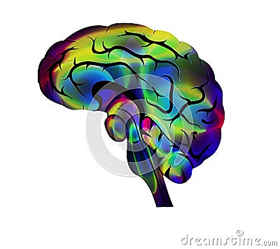 The creative image of the brain. color icon. Vector Illustration