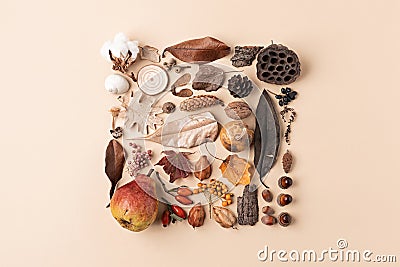 Creative layout made of autumn leaves, fruit and acorn with copy space Stock Photo