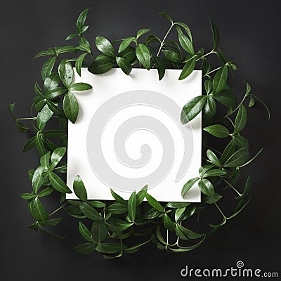 Creative layout made of green leaves with empty blank for note on black background. Top view. Stock Photo