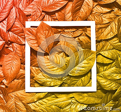 Creative layout made of leaves with paper card note. Flat lay. Nature concept Stock Photo